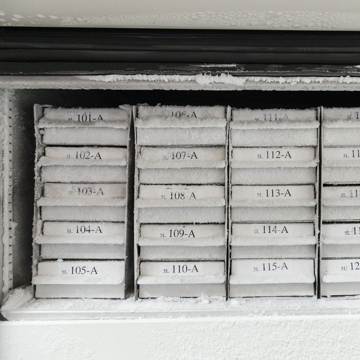 Etiquetas multiusos con adhesivo agresivo